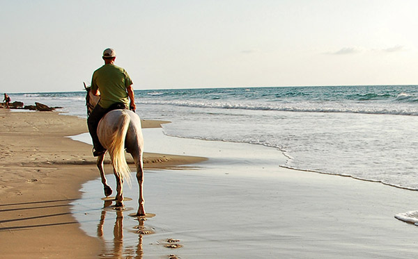 equitation-activite-location-ile-de-re